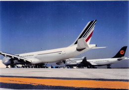 Airbus A340 Lufthansa & Air France - 180 X 130 Mm. - Photo Presse Originale - Aviación