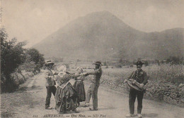 AL20 - AUVERGNE  -  UNE NOCE -  VIELLEUR  -  DANSEURS DE BOURREE  -  2 SCANS . - Dans