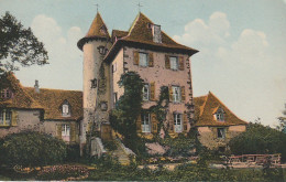 AL21 -(15) POLMINHAC  -  CHATEAU DE VIXOUZE  -  CARTE  COLORISEE  -  2 SCANS  . - Other & Unclassified