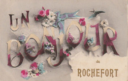 AL25 -(17) " UN BONJOUR DE ROCHEFORT " - CARTE FANTAISIE COLORISEE - FLEURS , HIRONDELLE  - 2 SCANS - Rochefort