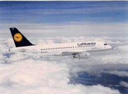Airbus A319 - Lufthansa - 180 X 130 Mm. - Photo Presse Originale - Luchtvaart
