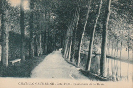 BE7 -(21) CHATILLON SUR SEINE  -  COTE D'OR -  PROMENADE DE LA DOUIX  -  2 SCANS - Chatillon Sur Seine