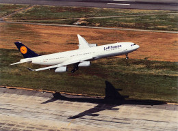 Airbus A340-200 - Lufthansa - 180 X 130 Mm. - Photo Presse Originale - Luchtvaart