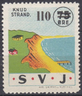 Chemin De Fer Danois  - Danemark Railway   NMH ** Knud Strand SVJ  (A17) - Postpaketten