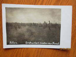 WW I POLAND GERMAN SOLDIERS WORKING ON FIELD  , 5-1 - Polen