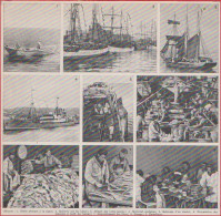 Pêche à La Morue. Départ Des Terre Novas, Morutier, Réparation Des Poissons Etc... Emballage. Larousse 1948. - Historical Documents