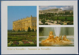 F48  Versailles 78 Yvelines Château De Versailles Parterre Du Sud Ou Du Midi Orangerie Bassin De Cérès Ou De L'Epé - Versailles (Schloß)