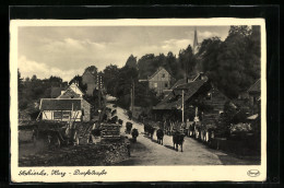 AK Schierke I. Harz, Blick In Die Dorfstrasse Mit Kühen  - Schierke