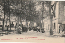 CE17 -(31) REVEL  -  LA PROMENADE ET AVENUE DE SOREZE  - ANIMATION -  2 SCANS - Revel