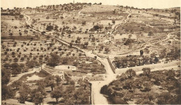 ASIE. PALESTINE. JERUSALEM.   MONT DES OLIVIERS. - Palestine