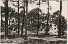 CE24 -(33) BASSIN D' ARCACHON  -  LES BELLES VILLAS DANS LES DUNES DU CANON - 2 SCANS - Arcachon