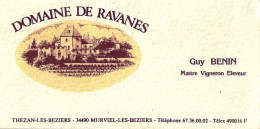 *Carte Visite - Domaine De Ravanès - Guy BENIN Maitre Vigneron Eleveur à Thézan Les Béziers (34) - Tarjetas De Visita