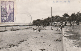 CE 26 -(33) CASSY LES BAINS  - LA PLAGE  -  ENFANTS  ,  JEUX DE  PLAGE  -  2 SCANS - Other & Unclassified