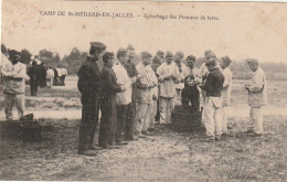 CE 27 -(33) CAMP DE SAINT MEDARD EN JALLES  -  EPLUCHAGE DES POMMES DE TERRE  - ANIMATION  -  2 SCANS - Otros & Sin Clasificación