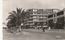 CE10 - MEKNES ( MAROC ) - AVENUE MEZERGUES  - 2 SCANS - Meknes