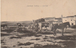 CE10 - CASBAH  TADLA ( MAROC ) -  COTE SUD - ANIMATION - 2 SCANS - Other & Unclassified