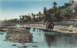 CE10 - SUD MAROCAIN - KASBAH SUR LES BORDS DU DRAA  - ANIMATION  -   2 SCANS - Autres & Non Classés