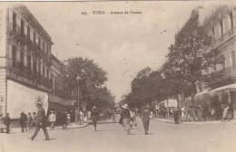 CE11  - TUNIS ( TUNISIE )  - AVENUE DE FRANCE- ANIMATION  -  2 SCANS - Tunesië