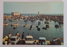 Cotiniere - Ile D'Oléron