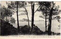 29 / CARANTEC - Le Bois De Sapins Vue Sur La Baie De Morlaix - Carantec