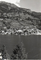 DOLOMITI - ALLEGHE - PANORAMA - F.G. - Belluno