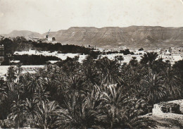 CE1 - BOU SAADA  ( ALGERIE ) - VUE GENERALE  -  2 SCANS - Otros & Sin Clasificación