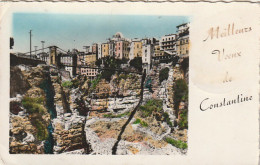 CE2 - CONSTANTINE ( ALGERIE ) -  MEILLEURS VOEUX  -  LA MEDERSA  -  MINI CARTE  COULEURS  -  2 SCANS - Constantine