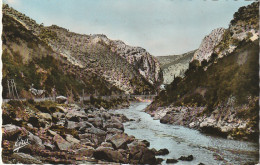 CE2 - GORGES DE PALESTRO ( ALGERIE ) -  L ' OUED ET LES GORGES  -   CARTE COULEURS  - 2 SCANS - Andere & Zonder Classificatie