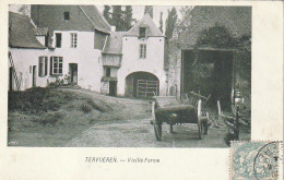 CE4 - TERVUEREN ( BELGIQUE ) -  VIEILLE FERME   - FAMILLE  -  2 SCANS - Tervuren