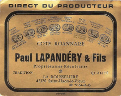 *Carte Visite - Paul Lapandéry Et Fils - Propriétaires Récoltants Cote Roannaise à Saint Haon Le Vieux (42) - Cartoncini Da Visita