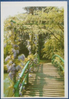 F78  Eure 27  Giverny Fondation Claude Monet  Le Jardin D'eau - Andere & Zonder Classificatie