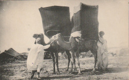 CE7 - PALANQUINS  - ANIMATION - CHAMEAUX  - CORRESPONDANCE  BIZERTE ( TUNISIE ) -   2 SCANS - Tunisie