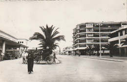 CE8  - MEKNES ( MAROC ) - AVENUE MEZERGUES   - ANIMATION - 2 SCANS - Meknès