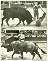 Corrida. 2 Cpsm Format Cpa De La Corrida , Manoletina Y  Pass Natural . - Corridas