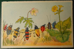 F41  Carte Postale  Insectes Dansant Dans Les Fleurs  Coccinelle - Insetti