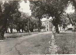 CE15 -(30) LE VIGAN  -  MAISON DE REPOS PROTESTANTE POUR DAMES ET JEUNES FILLES  -  2  SCANS - Le Vigan