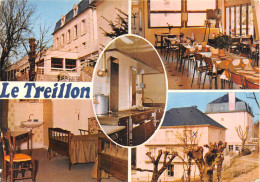 18-SANCERRE-LE TREILLON-N°540-B/0315 - Sancerre