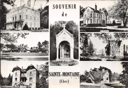 18-SAINT MONTAINE-N°540-B/0309 - Sonstige & Ohne Zuordnung
