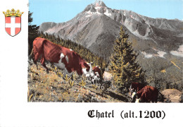74-CHATEL-N°546-D/0011 - Châtel