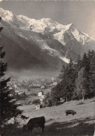 74-CHAMONIX-N°546-B/0293 - Chamonix-Mont-Blanc