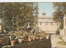 CPSM 84  MALAUCENE COIN FLEURI DEVANT L'EGLISE - Malaucene