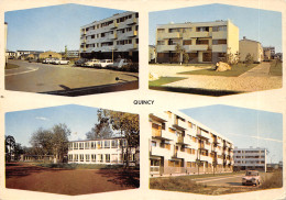 91-QUINCY-N°548-B/0139 - Sonstige & Ohne Zuordnung