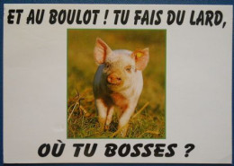 F16 Carte Postale Cochon Et Au Boulot ! Tu Fais Du Lard Où Tu Bosses . - Schweine