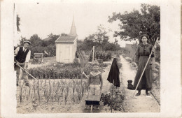 Carte Photo D'une Famille élégante Avec Leurs Chien Travaillant Dans Leurs Potager Vers 1915 - Personnes Anonymes