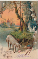 BE Nw1 - " JOYEUSES PAQUES " -  AGNEAU AVEC COUPLE DE LAPINS EN FORET - OEUFS COLORES - CARTE GAUFREE - Ostern