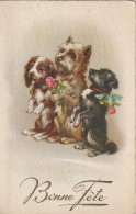 BE Nw1 - " BONNE FETE " -  TRIO DE CHIOTS OFFRANT DES  FLEURS , ROSES - 2 SCANS - Otros & Sin Clasificación