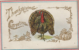 BE Nw1 -" THANKSGIVING GREETINGS " - DINDE , CITROUILLE , RAISIN - CARTE GAUFREE - DORURE - 2 SCANS - Thanksgiving