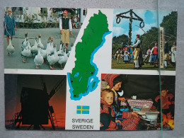 KOV 536-17 - SWEDEN, NATIONAL COSTUME - Suède