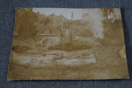 Superbe Ancienne Photo Congo Belge,crocodile Tué Par La Sentinelle Indigènes,11 Cm./ 8,5 Cm. - Africa