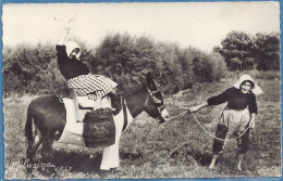 *CPA - 17 - ILE DE RE - L'Ane En Culottes Rentrant La Vendange - Vendangeuses - Ile De Ré